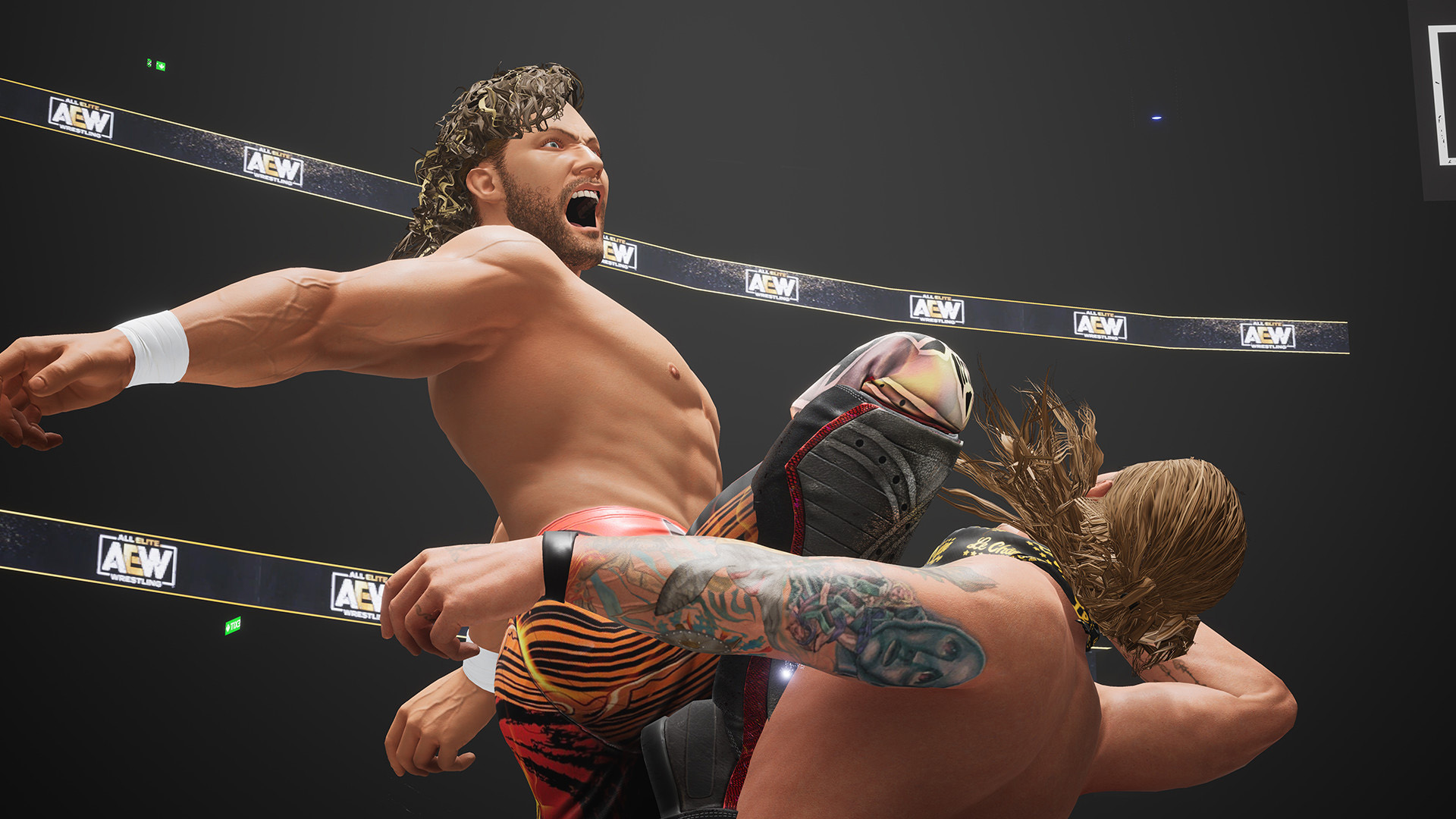 AEW: Fight Forever - PS5