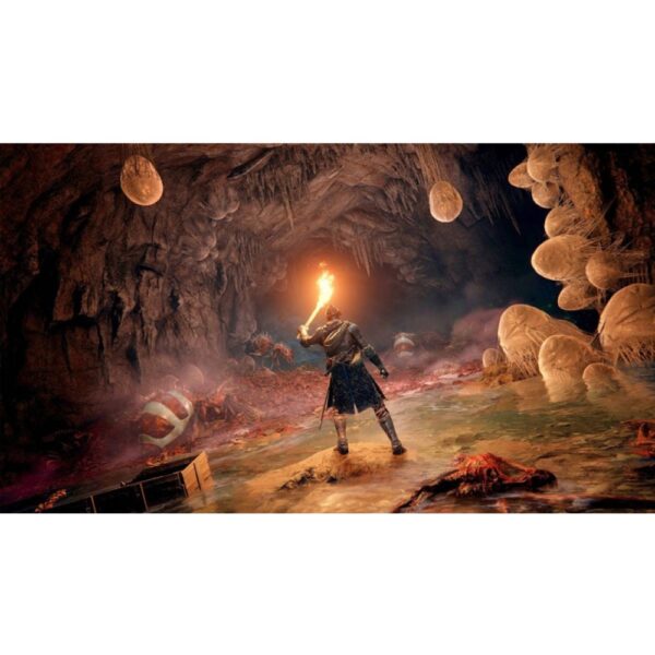 بازی Elden Ring: Shadow of the Erdtree برای PS5